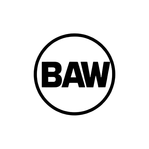 Разборка BAW