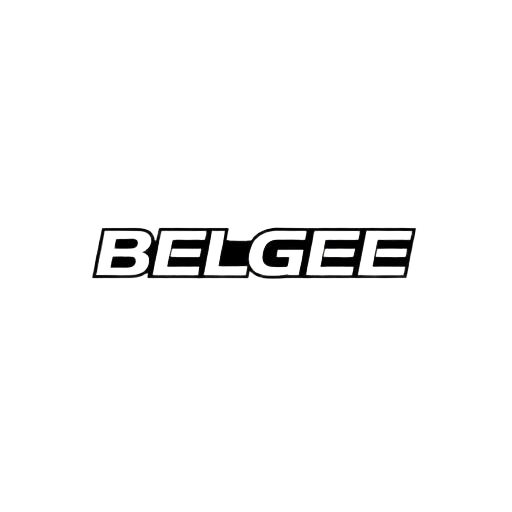 Разборка Belgee