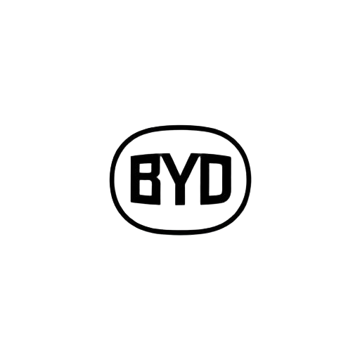 Разборка BYD