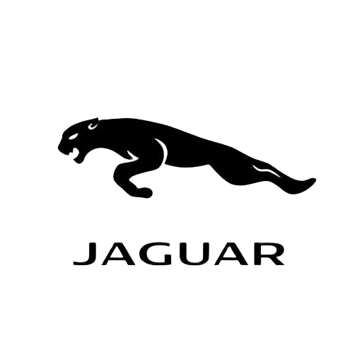 Разборка Jaguar