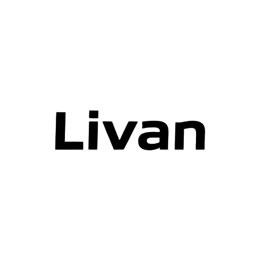 Разборка Livan