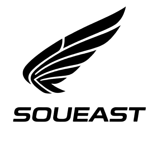 Разборка Soueast