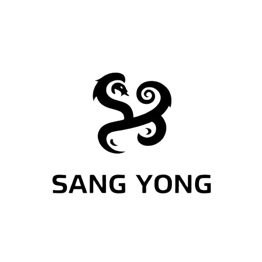 Разборка Ssang Yong