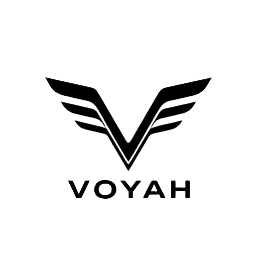 Разборка Voyah